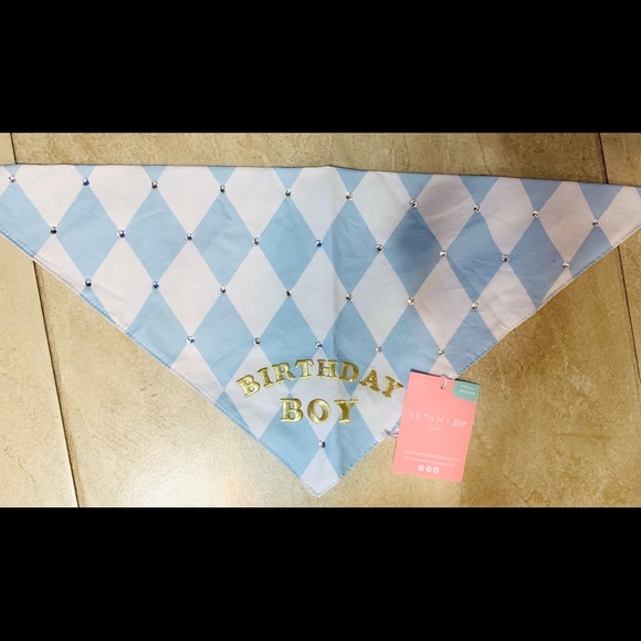 Francesca’s Collections Birthday Boy Bandana - Picture 5 of 8